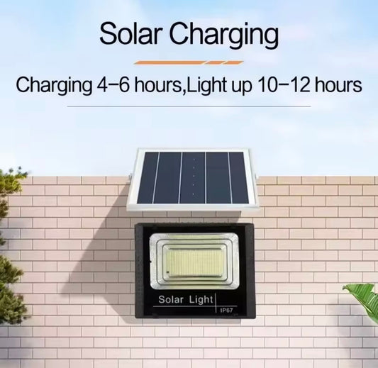 Solar Flood Light.